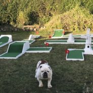 Mini Golf is here